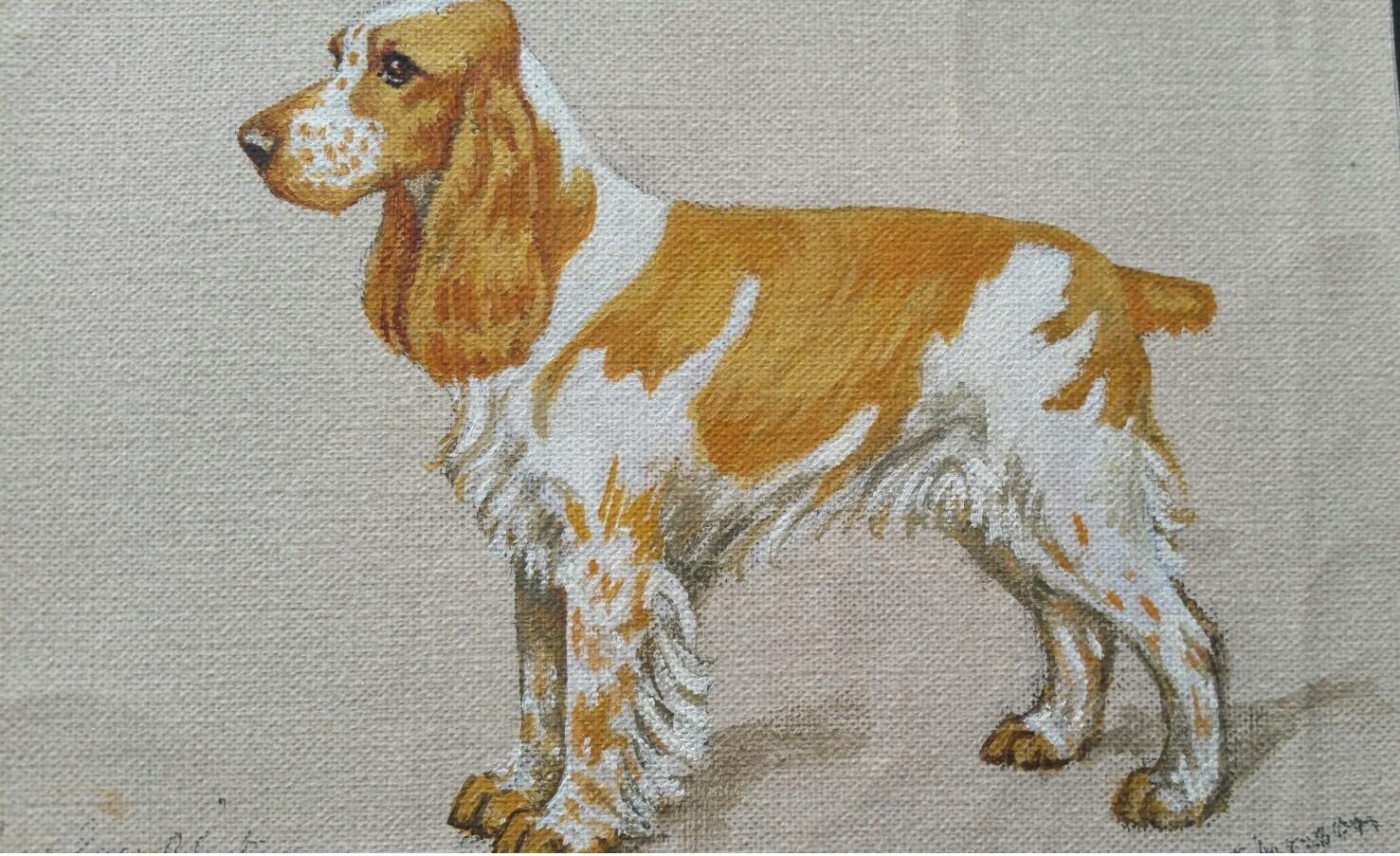 Dorothy Alexandra Johnson Animal Painting - English School Mid 20th Century Oil Painting of Cocker Spaniel Dog