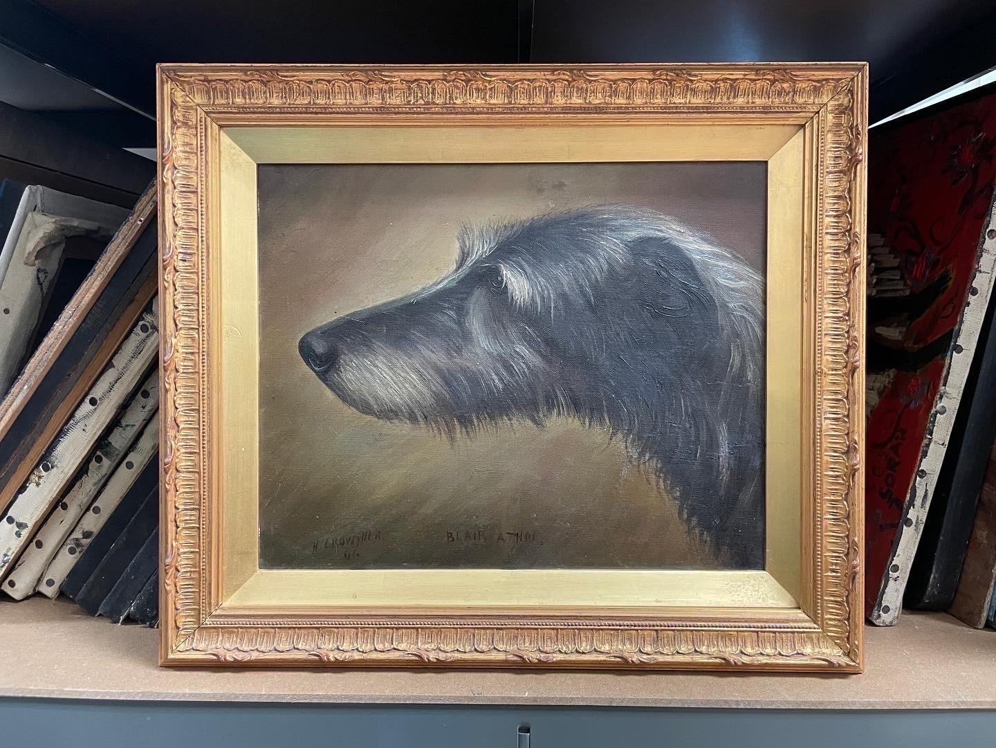 Antique English Dog Oil Painting Head Portrait of Irish Wolf Hound, signed 1