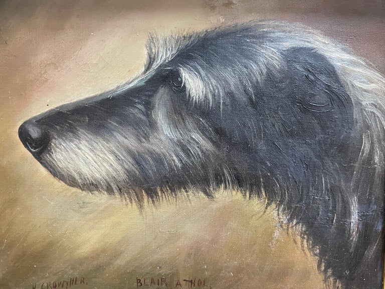 Antique English Dog Oil Painting Head Portrait of Irish Wolf Hound, signed 3