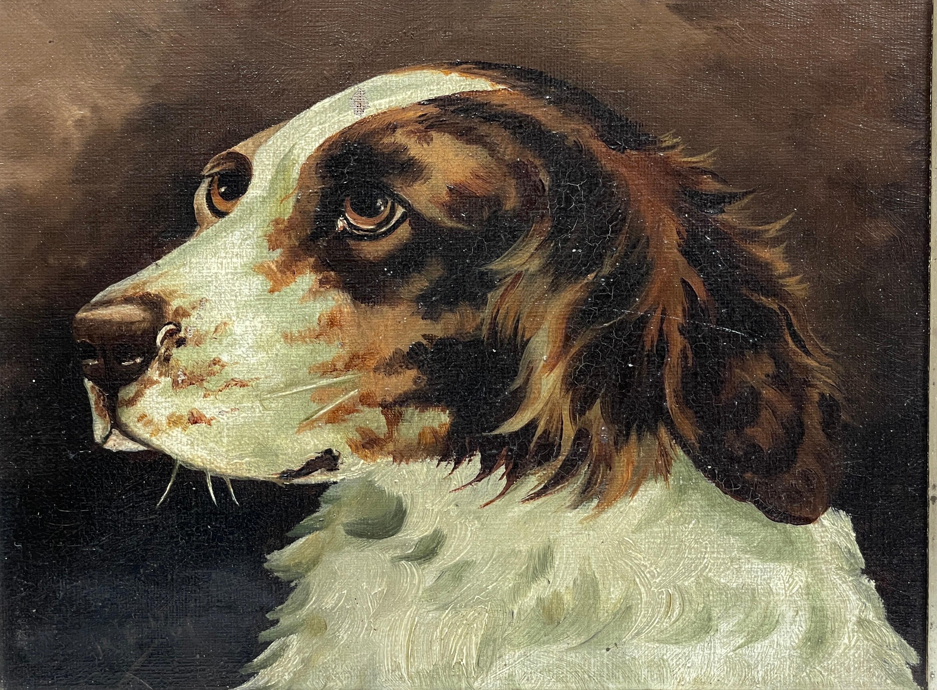 Head Portrait of a Spaniel
English School, 19th century
faintly and indistinctly signed lower left
oil painting on canvas, oak wood framed
framed size: 11.5 x 13.5 inches
condition: good condition; just a few minor scuffs. 