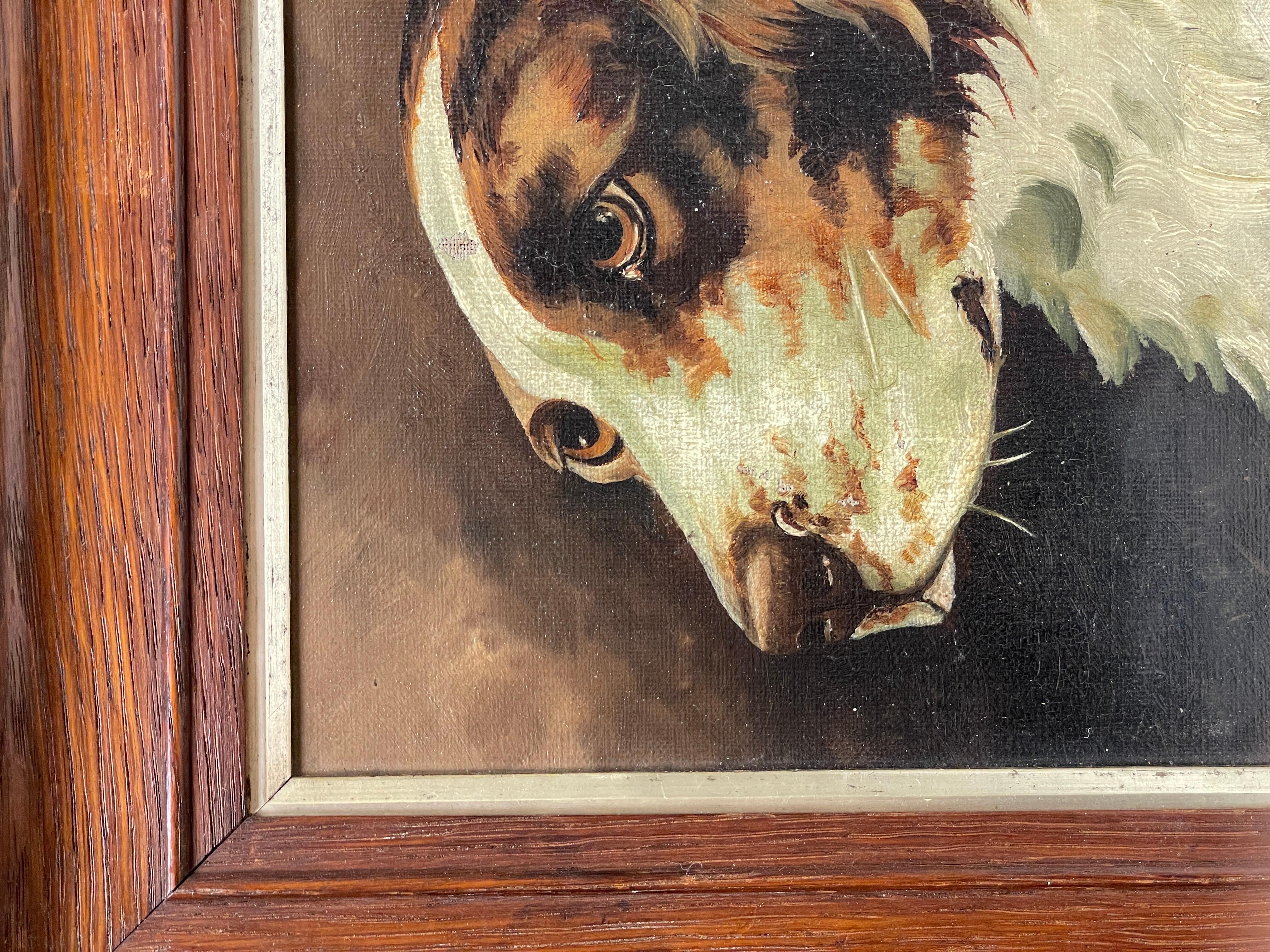 Antique English Dog Oil Painting Head Portrait of Spaniel Dog 2