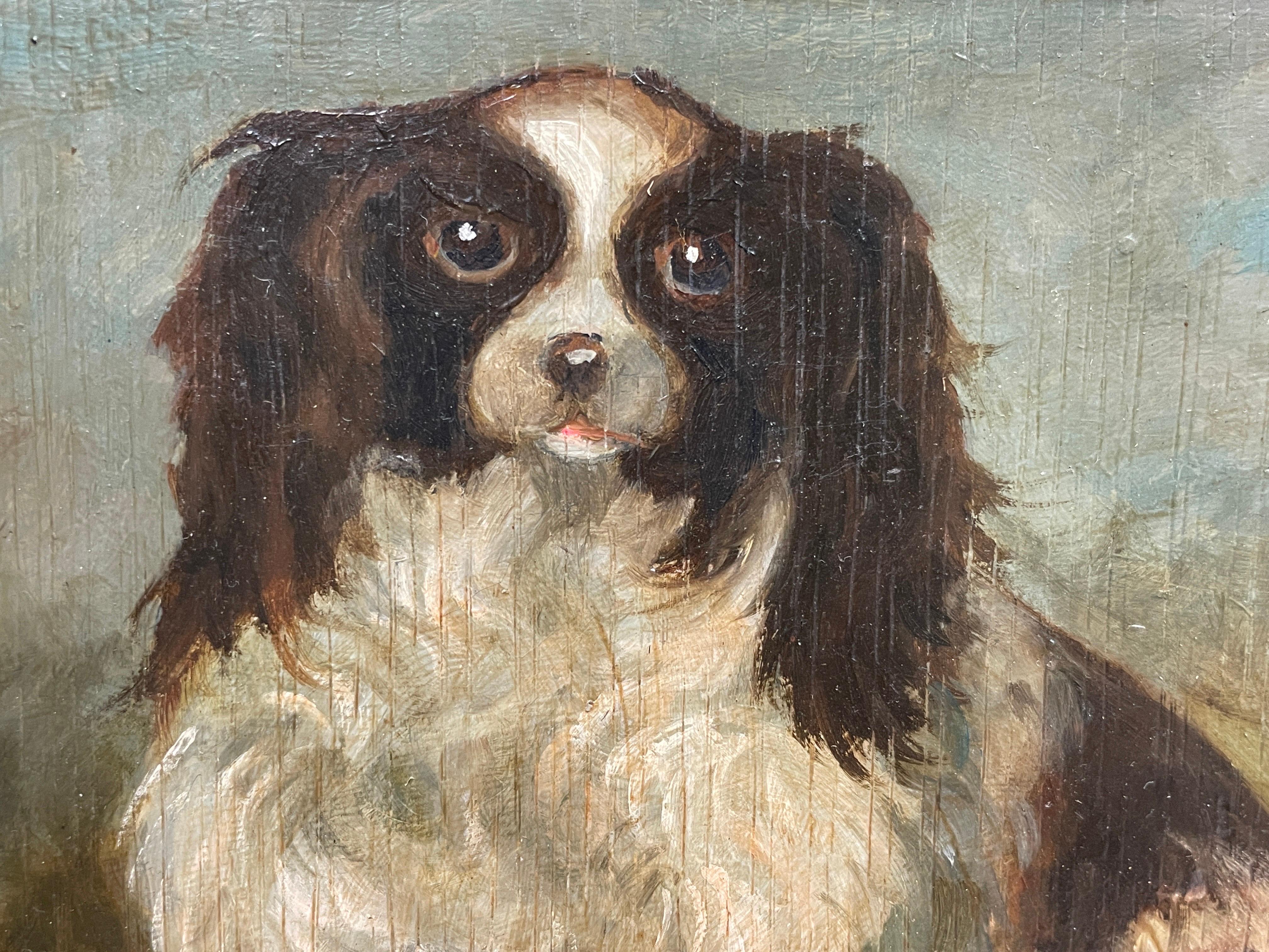 history of king charles spaniel