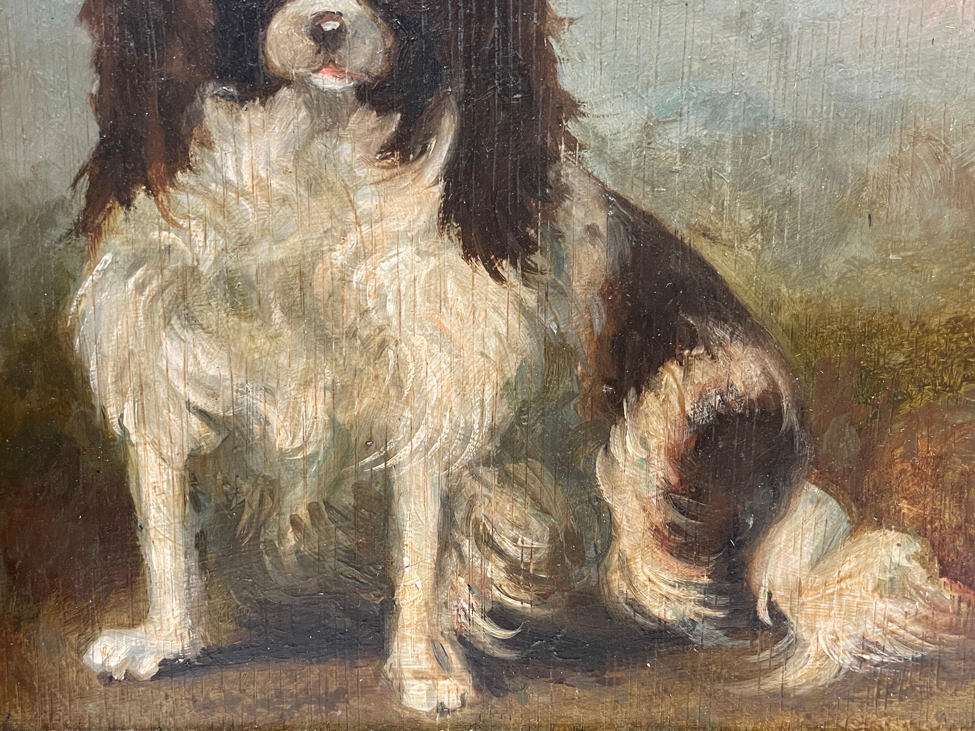 The King Charles Cavalier Spaniel
English School, 19th century
oil painting on wood panel, framed
framed size: 10 x 12 inches
condition: good condition; the frame is original and antique but quite heavily scuffed (some might say that is part of its