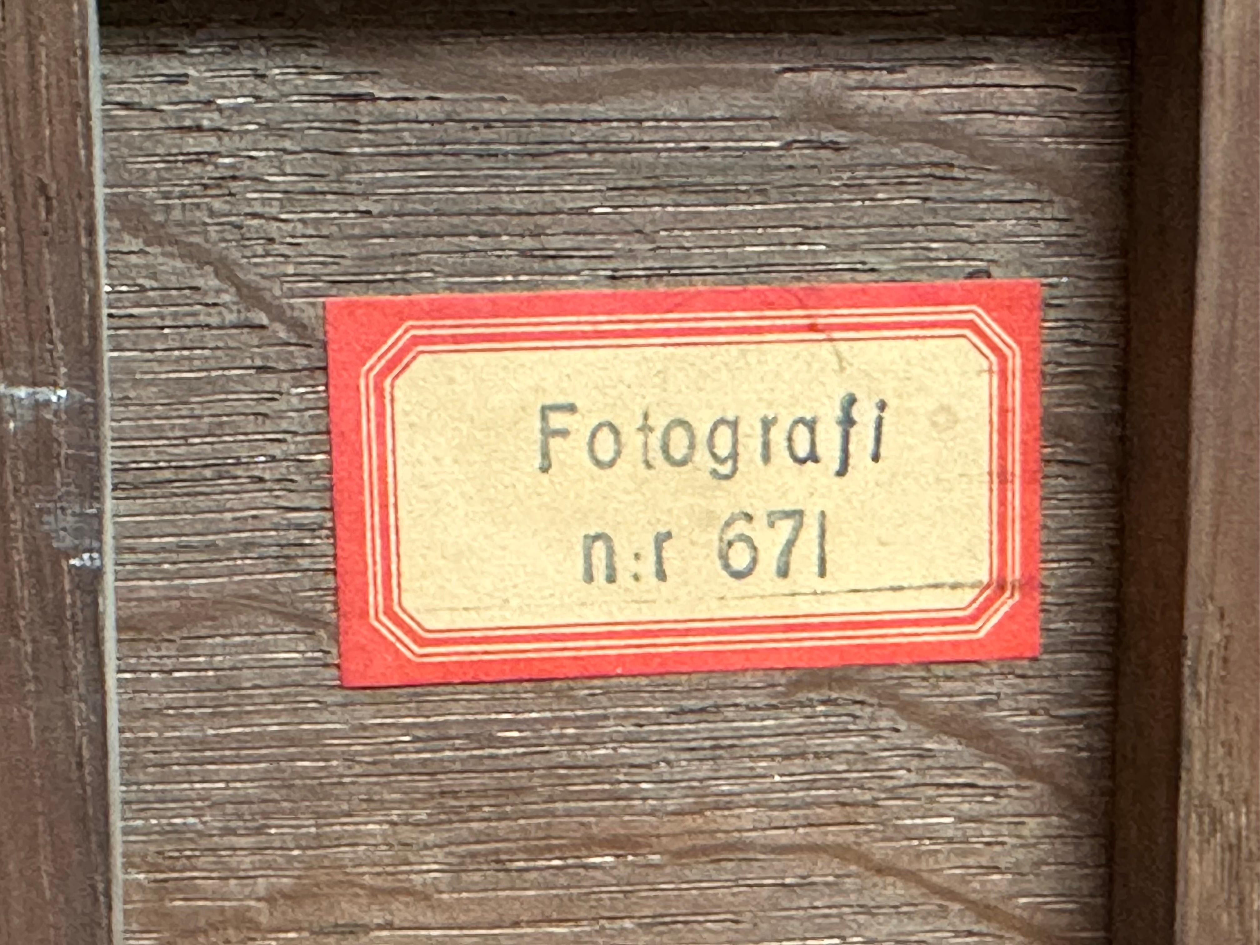 Pregevole olio su pannello di un vecchio maestro fiammingo del XVI secolo La Sacra Famiglia Qualità del Museo 10