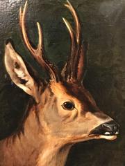 The Young Deer - Very Fine English School 19th Century Oil Painting 
