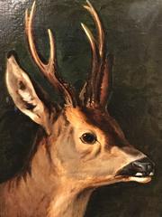 The Young Deer - Very Fine English School 19th Century Oil Painting