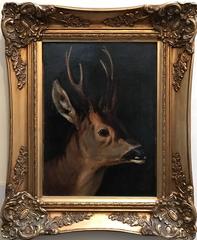 The Young Deer - Very Fine English School 19th Century Oil Painting
