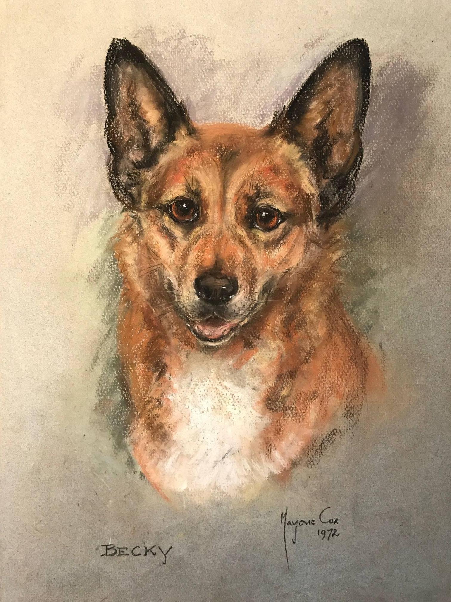 Marjorie Cox Animal Painting - Becky - Corgi Dog - Original British 1970's Dog Pastel 