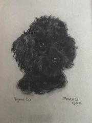 Portrait of a Poodle - Superb 1960's English Dog Pastel
