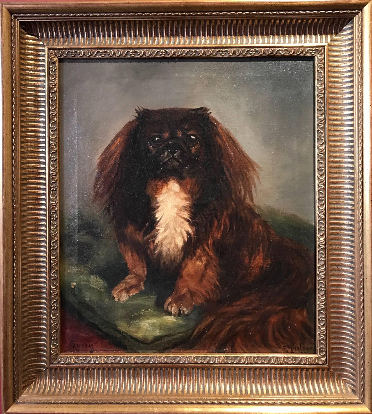 Very fine antique English dog painting, in oils on canvas, depicting this characterful Pekingese dog seated on a cushion. The painting is by the well listed British artist, Miss E. Marion Nelson and is signed, dated 1921 and titled,