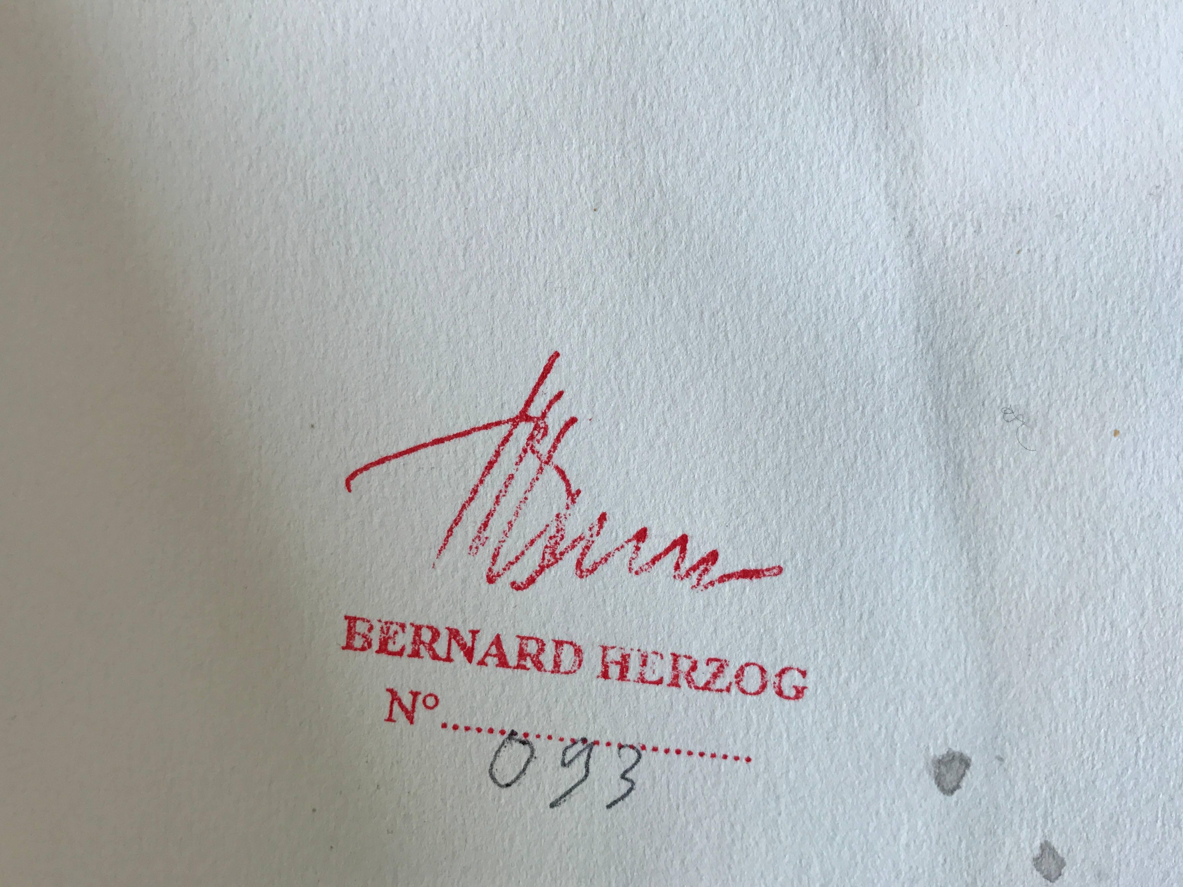 Une œuvre d'art originale, unique et stupéfiante, réalisée par le célèbre peintre abstrait français Bernard Herzog (né en 1935). 

Au cours de la dernière partie de sa carrière, à l'instar d'Henri Matisse, Herzog a commencé à expérimenter la