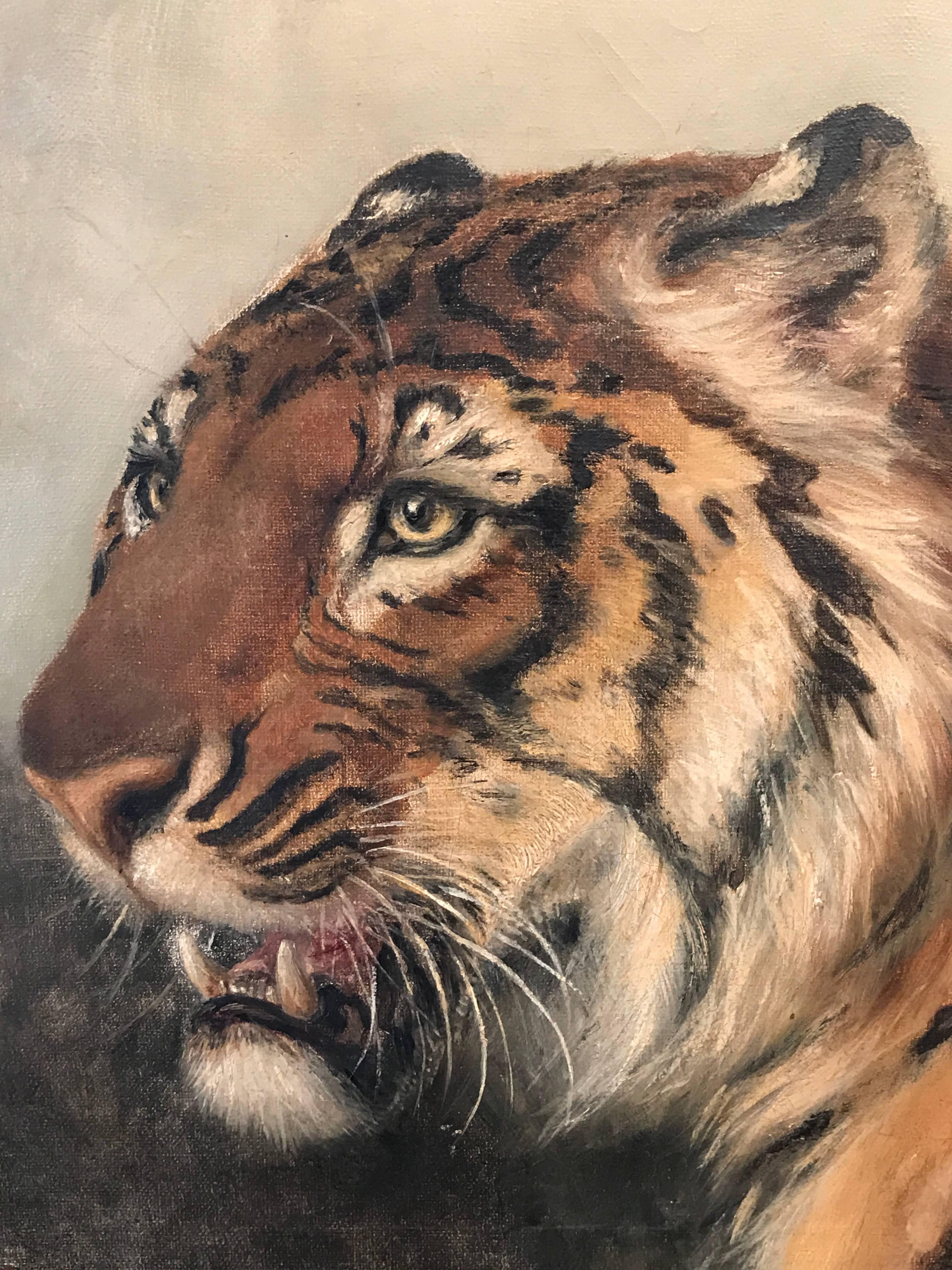 Original Antique English Oil Painting Head Portrait of Tiger - Brown Animal Painting by Unknown