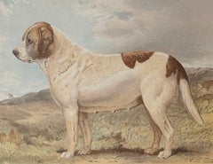 St. Bernard 'Abbess' 19th Century Original Dog Chromolithograph Picture