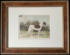 Pointer 19th Century Chromolithograph from Cassell's Illustrated Book of the Dog
