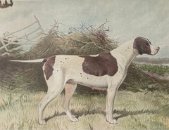 Pointer 19th Century Chromolithograph from Cassell's Illustrated Book of the Dog