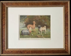 Yorkshire Terrier, Italian Greyhound & Pug 19th Century Dog Chromolithograph
