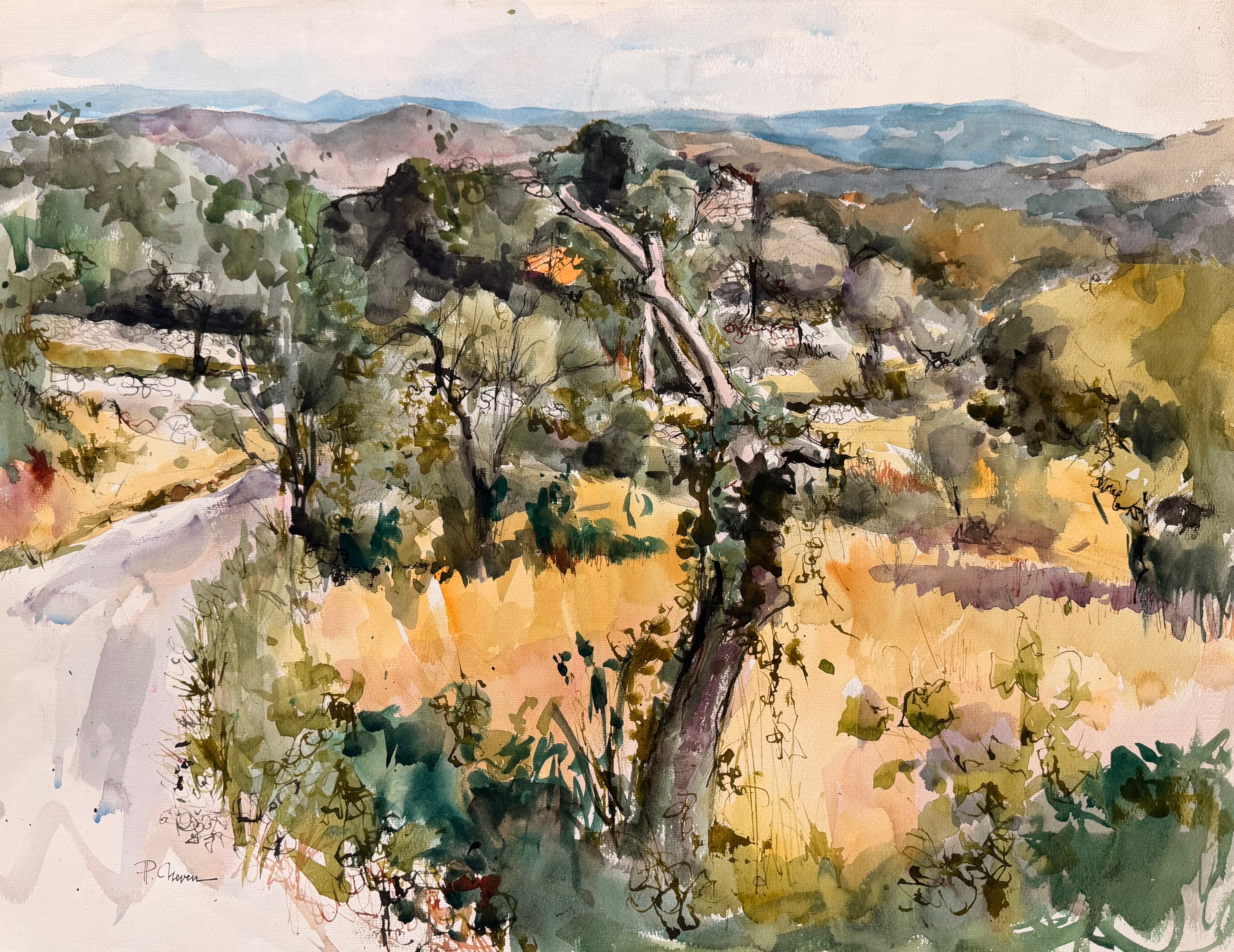 Mediterranean Olive Grove with Winding Country Road and Distant Hills Landscape