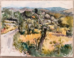 Mediterranean Olive Grove with Winding Country Road and Distant Hills Landscape