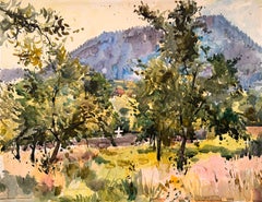 Paysage montagneux ensoleillé d'Oberhaslach avec des arbres et une croix blanche