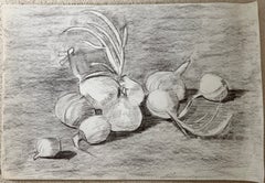 Still Life of Onions French Modernist 1950's Charcoal & Pencil Drawing