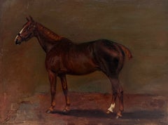Study of a Bay Racehorse Profile 1907 British Equestrian Sporting Oil Painting