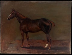 Study of a Bay Racehorse Profile 1907 British Equestrian Sporting Oil Painting