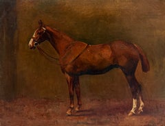 Bay Racehorse Equestrian Study 1902 Traditional British Sporting Oil Painting