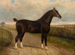 Prize Bay Horse in Country Landscape Fine 19th.C British Equestrian Oil Painting