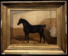 19th.C British Equestrian Sporting Oil Painting Dark Bay Racehorse in Stable