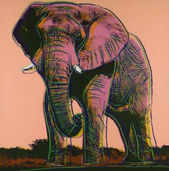 African Elephant, from Endangered Species