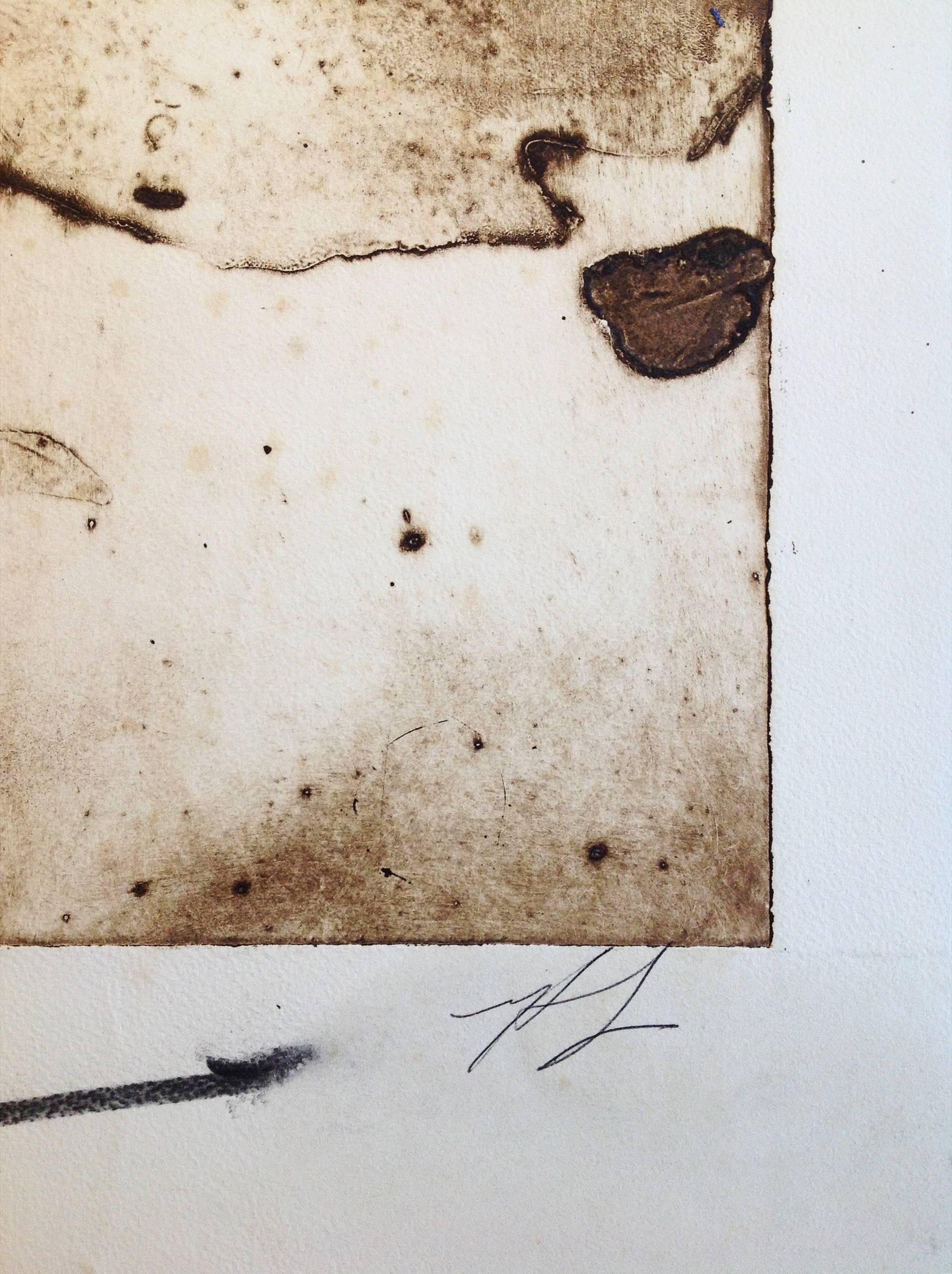 untitled - Gray Abstract Print by T.L. Lange