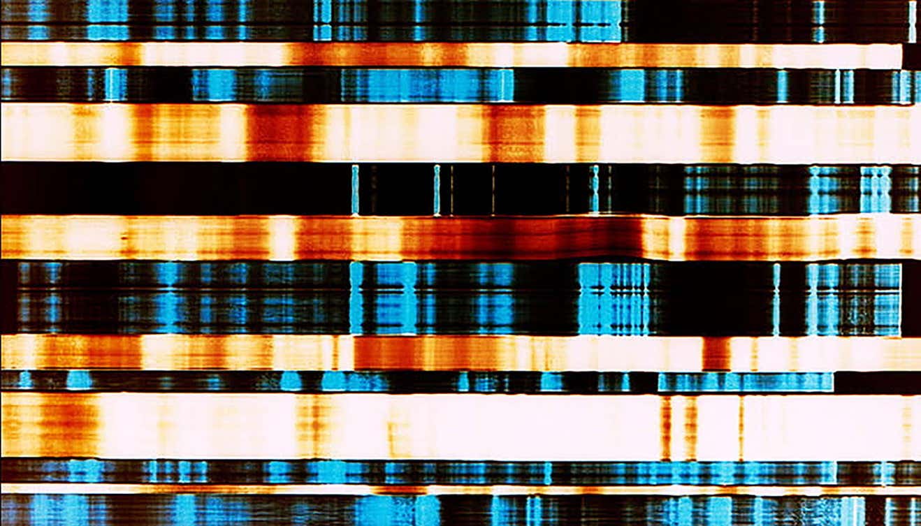 Jeffrey Rothstein - In the Hood #1 - Abstract Photograph - Multicolor ...