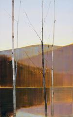 Stephen Pentak - 2016, I.III 2016, I.III