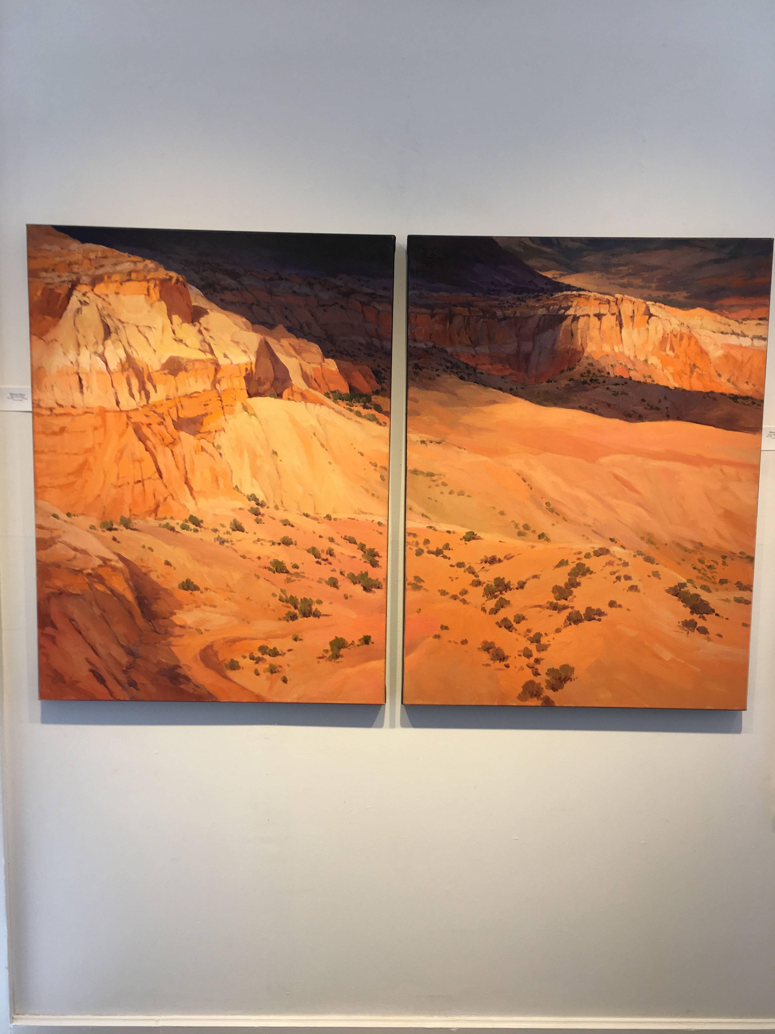 Canyon Shadow 1 and 2 - Land Painting by Martha Mans