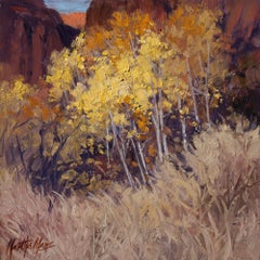Alberi del canyon