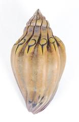 Sea Shell Artifact