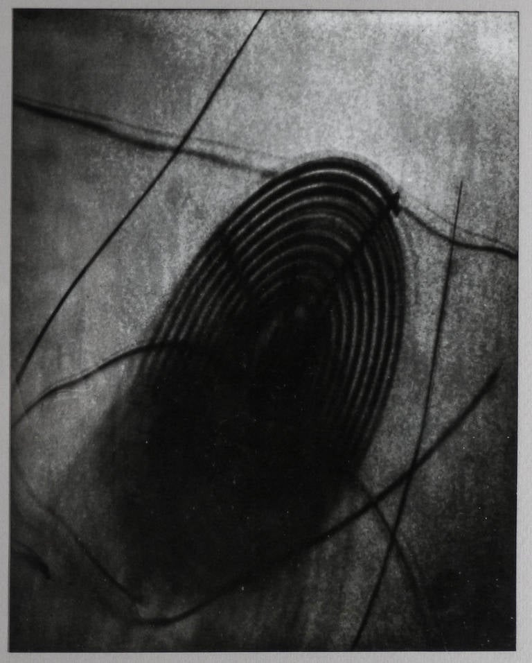 Edmund Teske Abstract Photograph - Coil