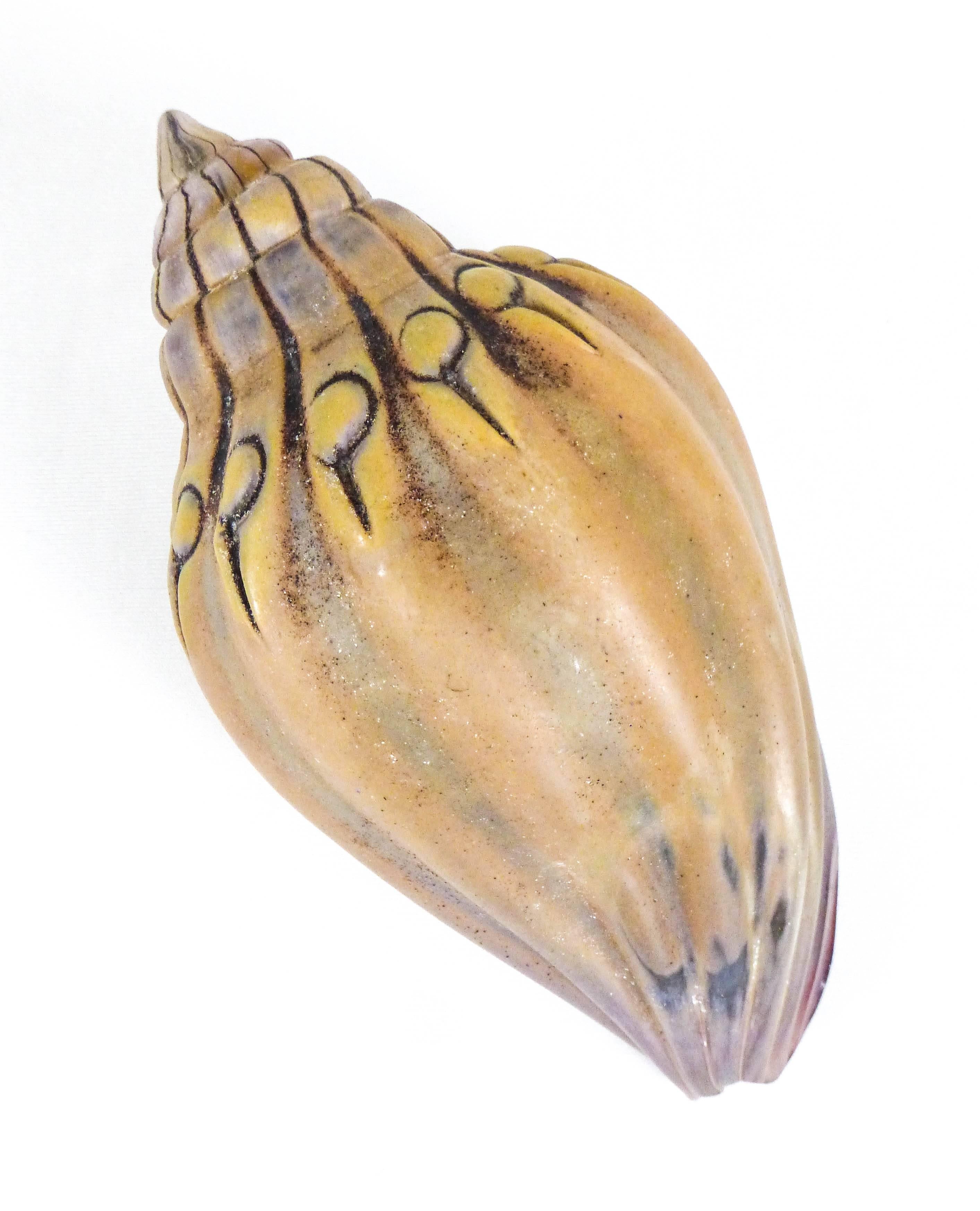 Sea Shell Artifact - American Modern Sculpture by William Morris