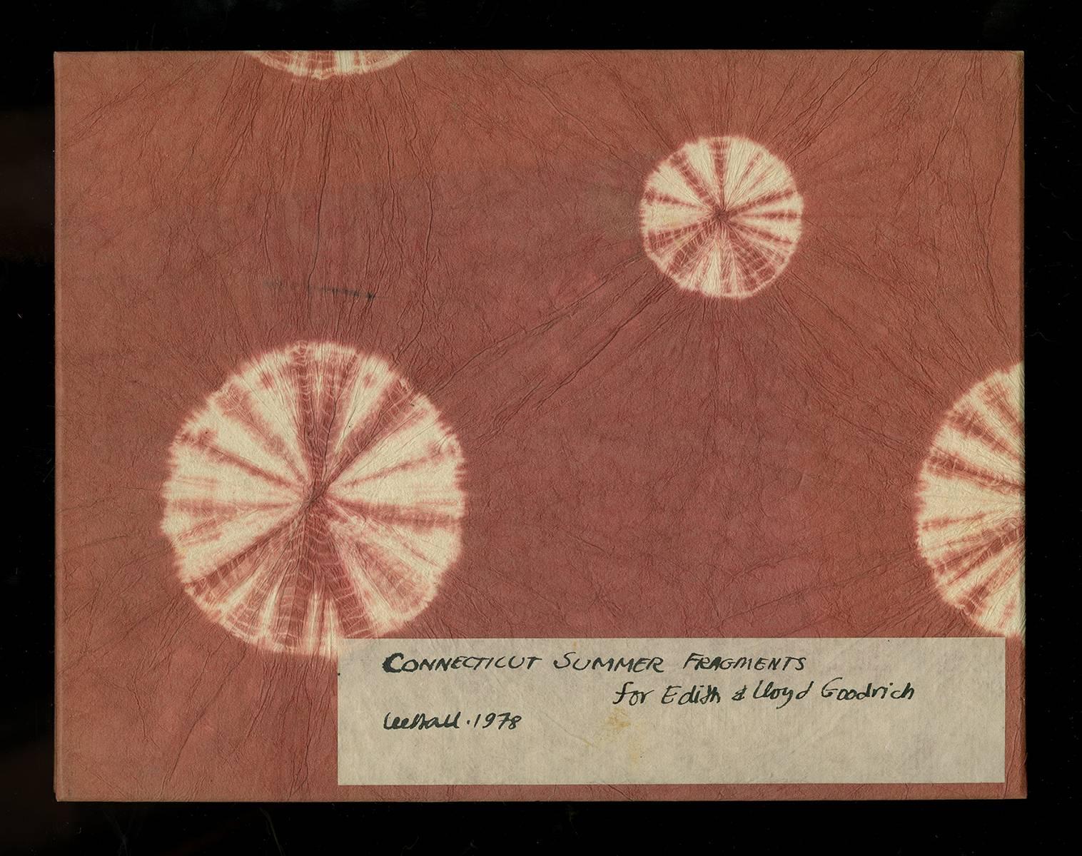 Sommerfragmente aus Connecticut – Art von Lee Hall