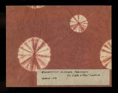 Connecticut Summer Fragments