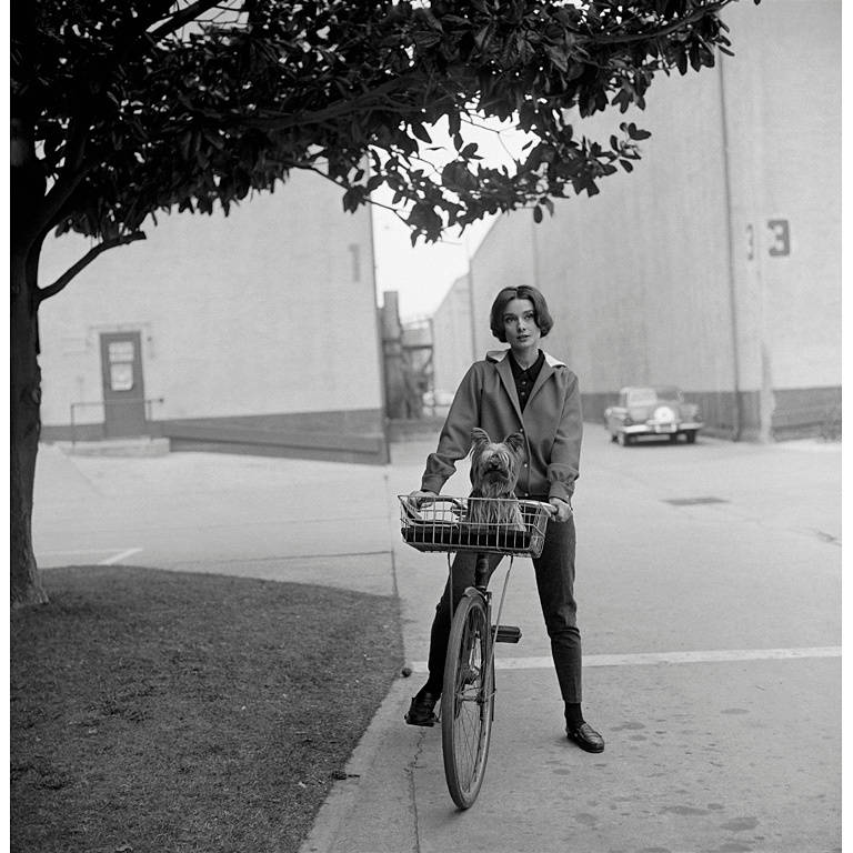 Sid Avery Black and White Photograph - Audrey Hepburn with her Pet Dog, Famous, on the Paramount Studio Backlot