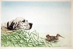 Vintage French Spaniel in Pursuit of a Woodcock