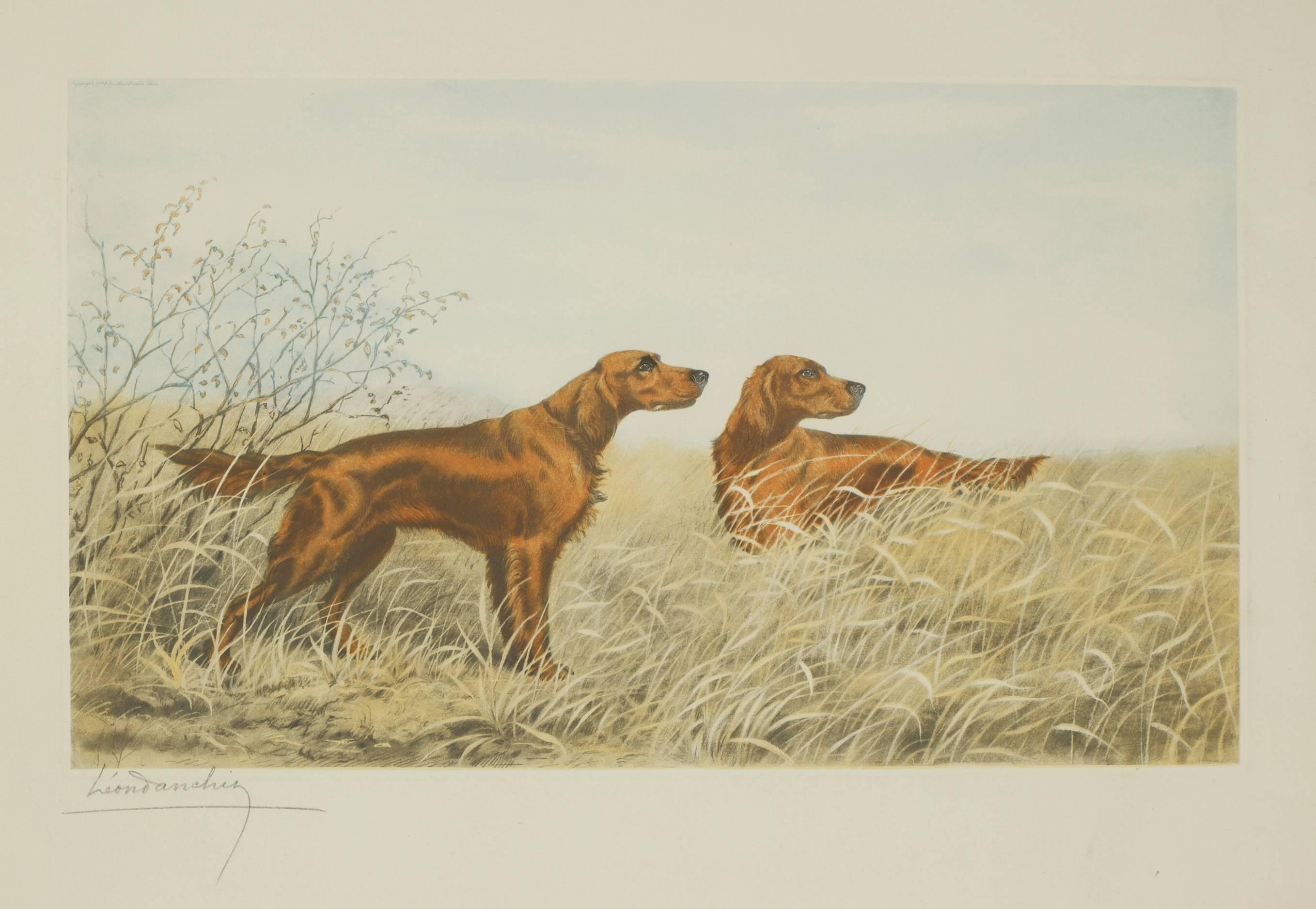 Animal Print Leon Danchin - Deux Setters irlandais