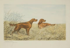 Deux Setters irlandais