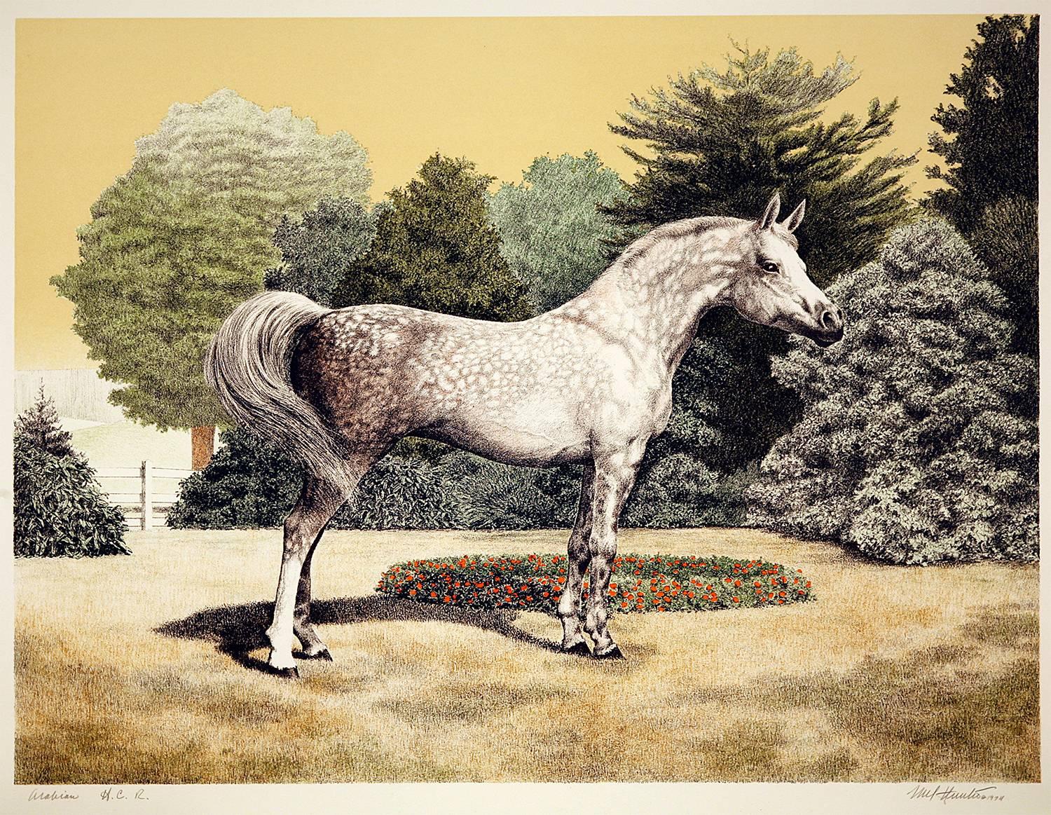 Mel Hunter Animal Print - Portrait of an Arabian Horse