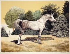 Vintage Portrait of an Arabian Horse