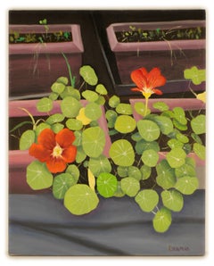 Last Nasturtiums of Summer