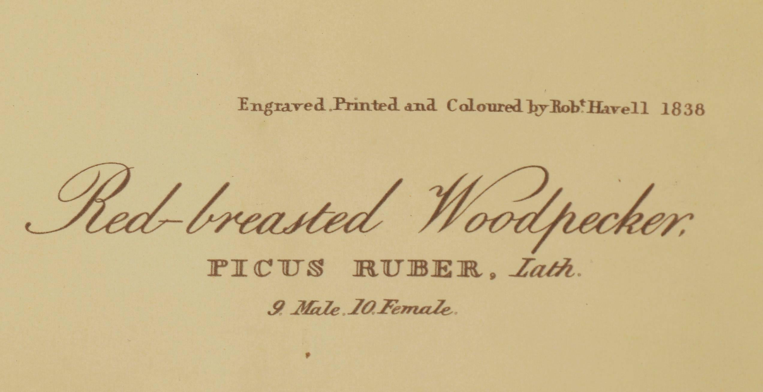 Ten Woodpeckers For Sale 2