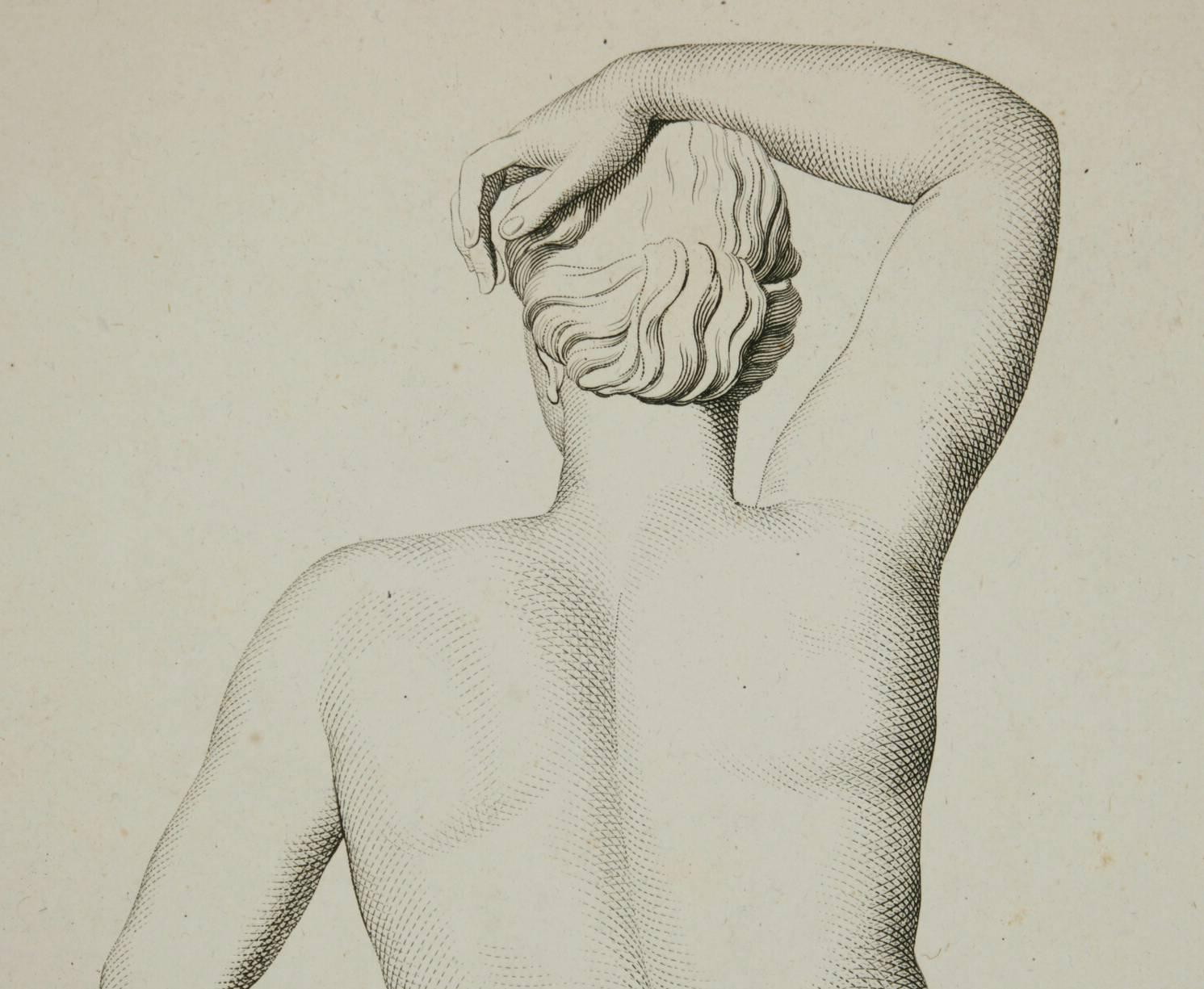 Apollo from Behind - Baroque Print by Unknown