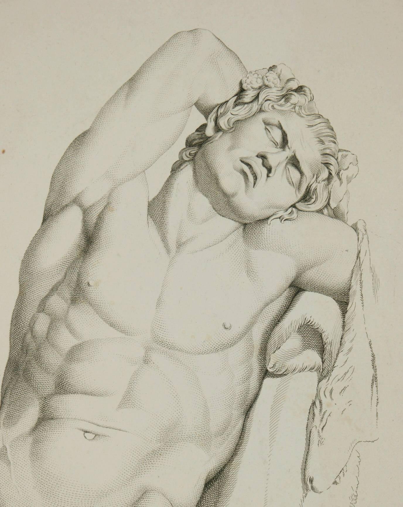le faune barberini